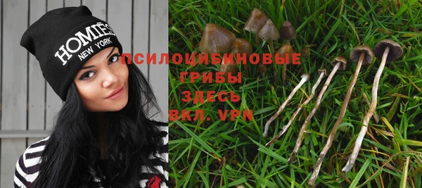 винт Богородск