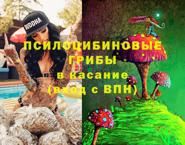 гашиш Богородицк