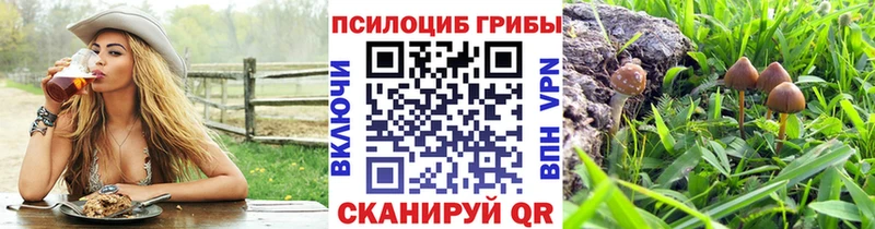 Галлюциногенные грибы ЛСД  Высоцк 